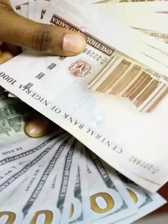 How Inflation and Naira to Dollar Fluctuations Shape Luxury Real Estate Choices in Nigeria